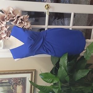 Diane von Furstenberg royal blue sleeveless dress fitted stretch Vneck 6…EUC